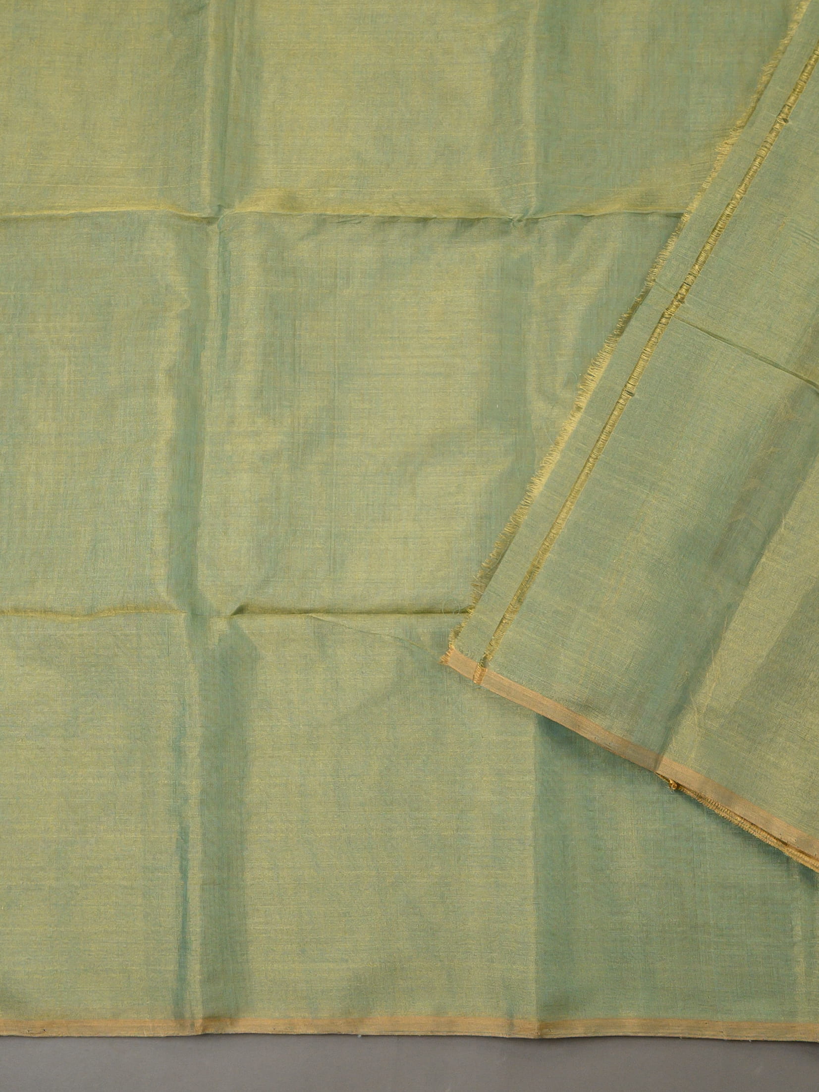Handloom Tissue Silk Saree in Light Green and Gold